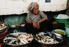 fishvendor.gif (22622 bytes)