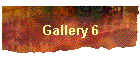 Gallery 6